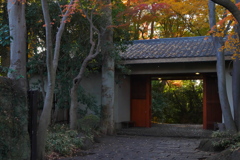 近所の自然公園っぽいところ９