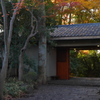 近所の自然公園っぽいところ９