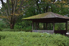 苔屋根