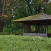 苔屋根