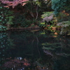近所の自然公園っぽいところ４