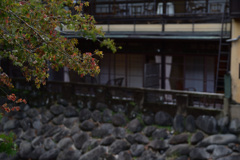 伊豆旅行1