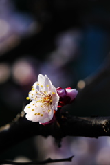 P1040479