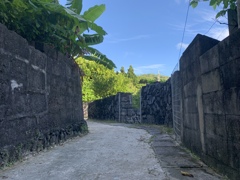 沖縄田舎道