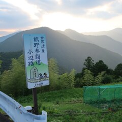 IMG_20181029_000237_629