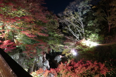 20181114192855_IMG_2680