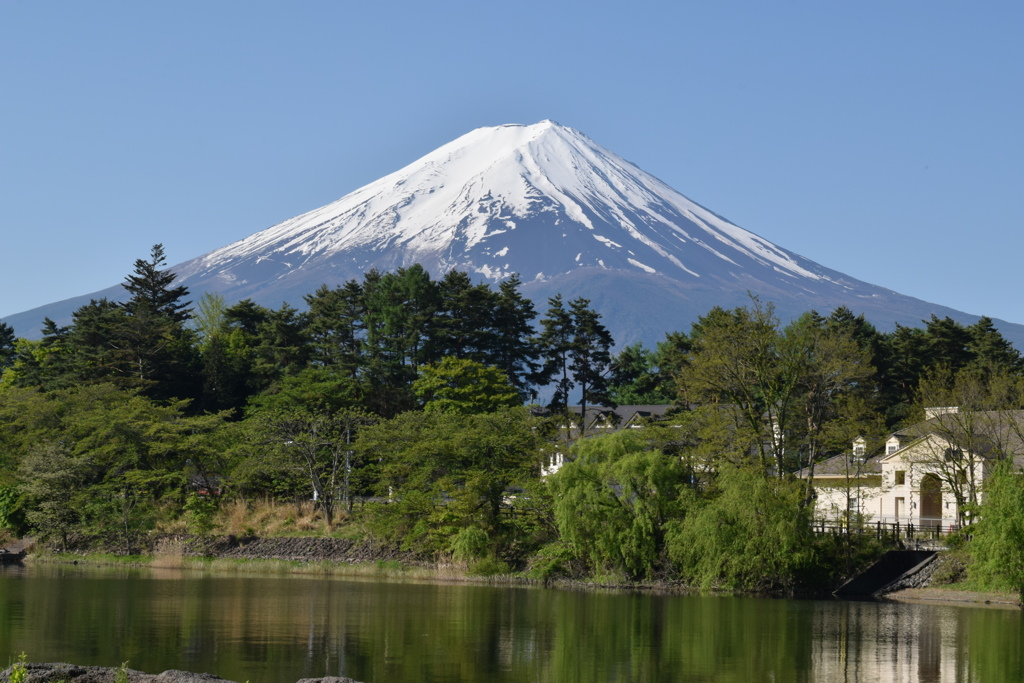 富士山②