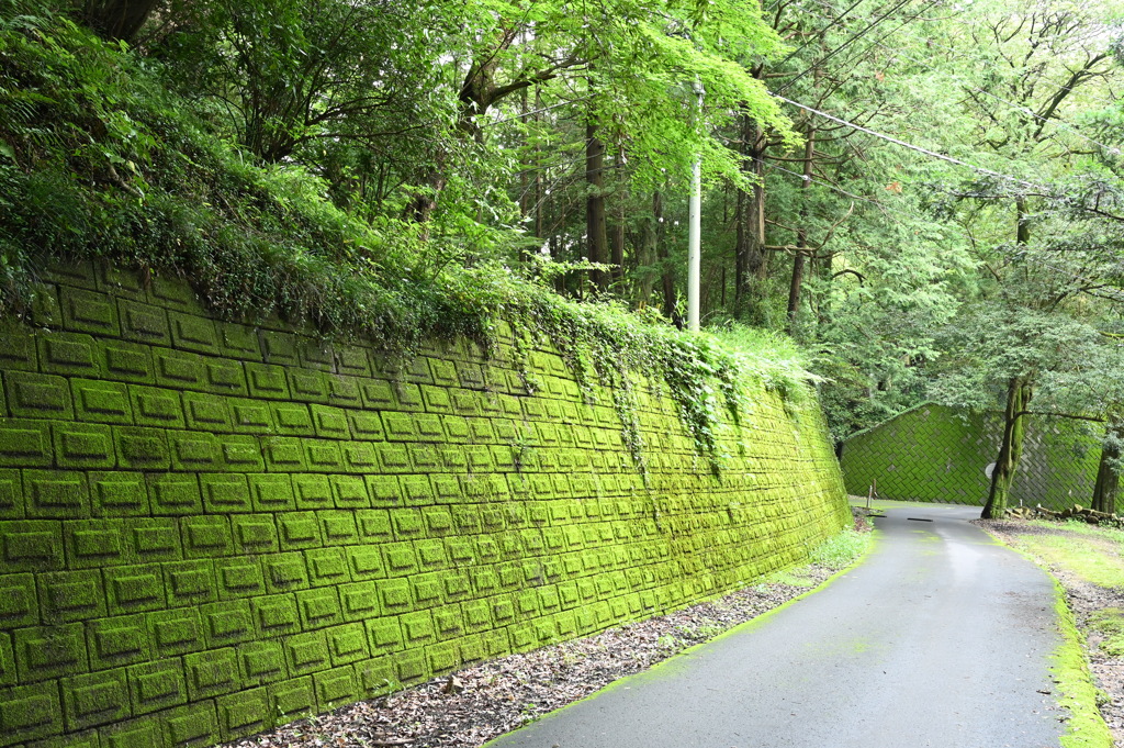 緑化壁