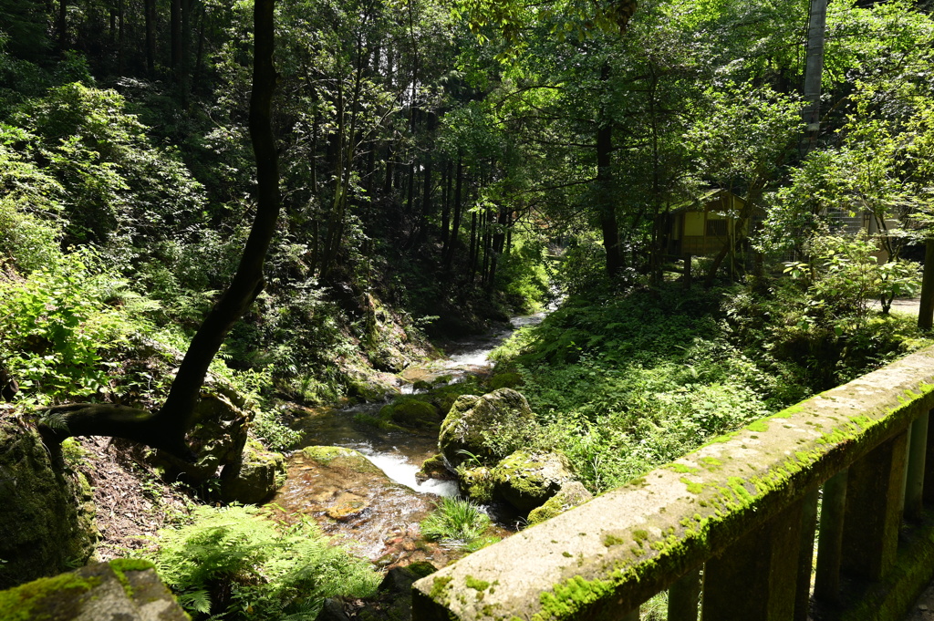 黒山三滝（渓流）