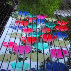 754A2EB3-03AC-46F0-8A71-6AE5E30547E7