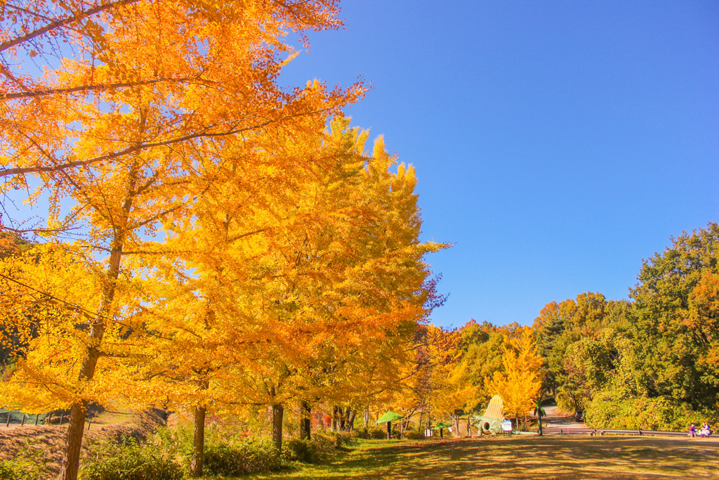 19BFF94A-B03C-47C9-919D-98A84D36A6F6