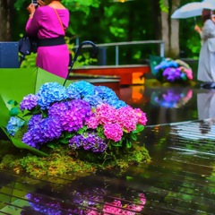 D27D1389-C344-4230-AA3B-16656EF82385