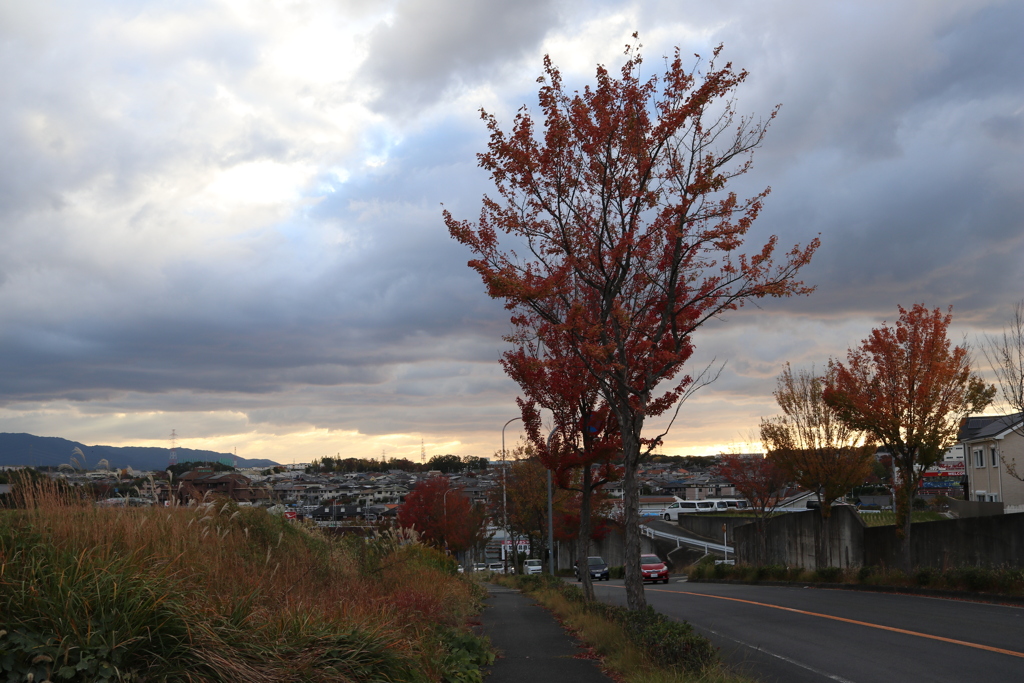 紅葉と夕焼け