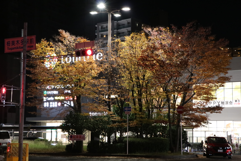 駅前の紅葉