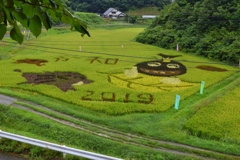 田んぼアート（福島県田村市常磐町堀田）