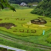 田んぼアート（福島県田村市常磐町堀田）