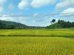 車の中から(福島県田村市船引町門沢)