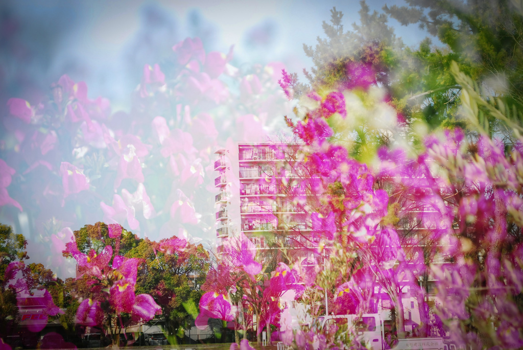 多重露出を上手に使える様になりたい