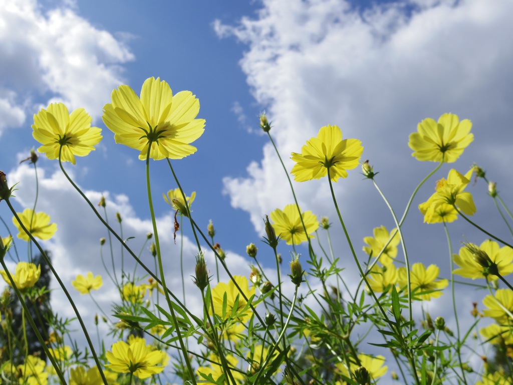 花の難しさを痛感
