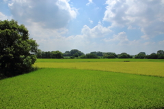 田舎の風景