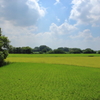 田舎の風景