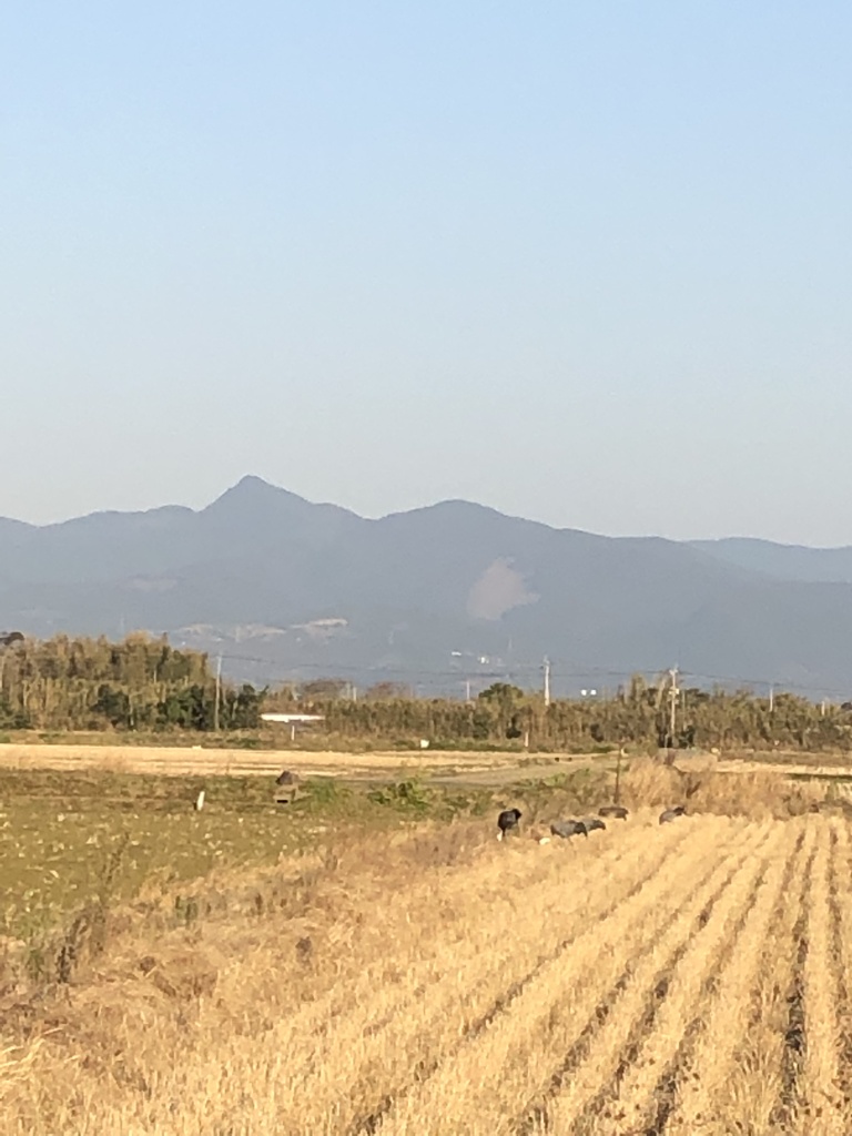 矢筈岳と出水平野