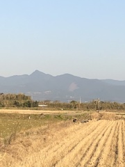 矢筈岳と出水平野