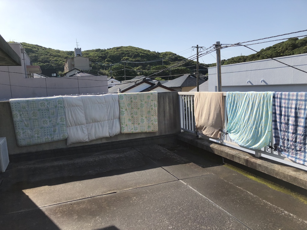 久しぶりの晴れ