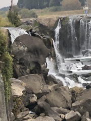 曽木の滝  ドクロ岩