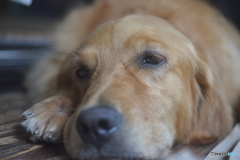 眠いです