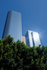 Downtown L.A. まぶしっ！
