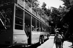 SAN DIEGO ZOO