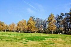 公園で犬を遊ばせる我が娘