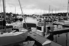 静かな早朝のHARBOR　白黒