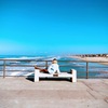 Huntington Beach pier