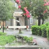 今日は雨　　IMG_0904