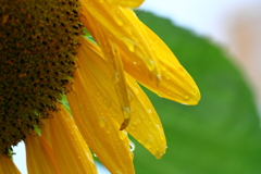 涼　IMG_1