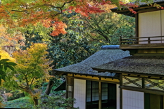 三溪園　　IMG-251207