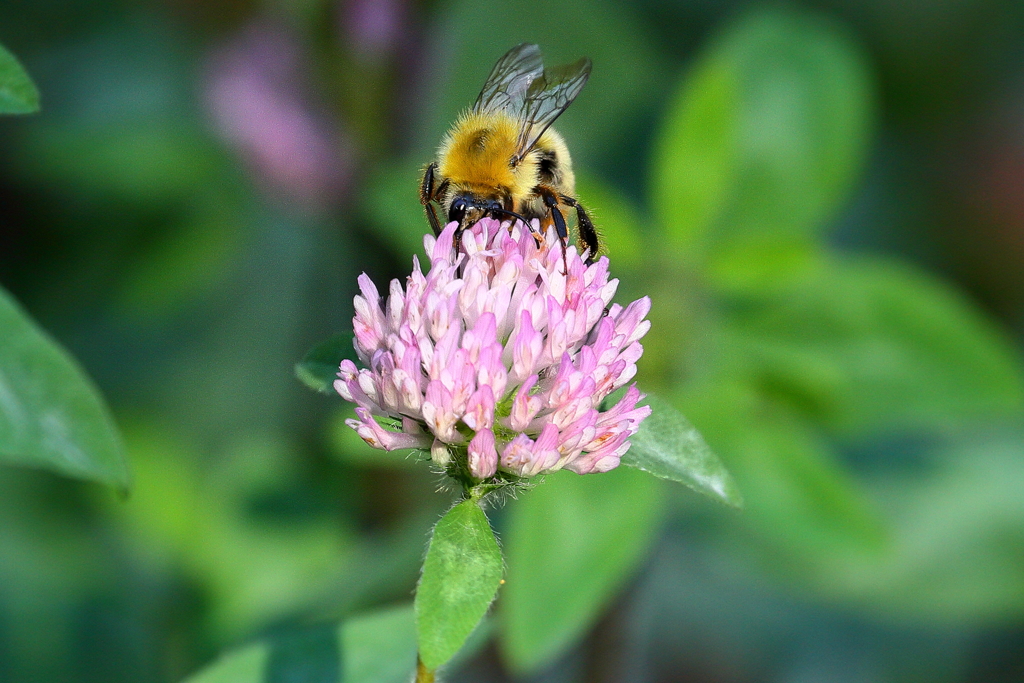 頭から　IMG_1635