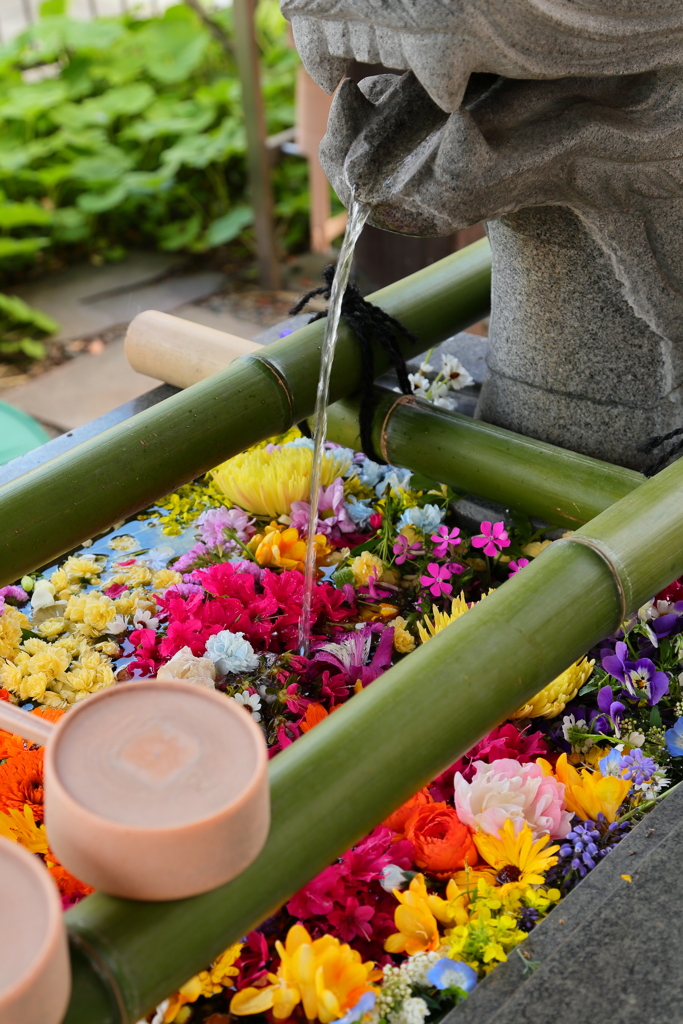 花手水④　IMG_0409