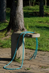 公園　　IMG-24082