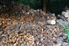 里山にて　IMG_14