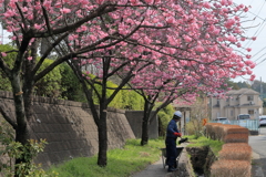 日常の春　IMG_0321