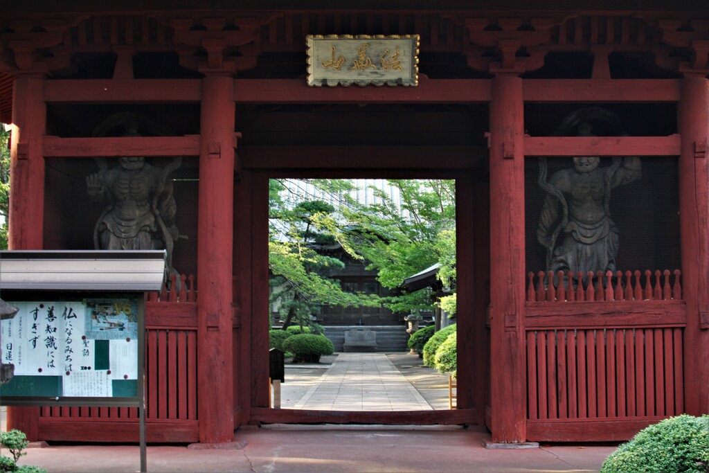本興寺 (門)　IMG_4