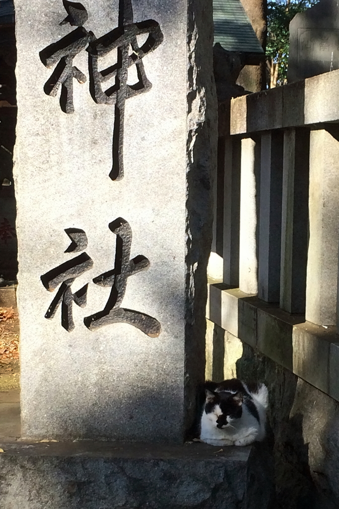 加瀬山の住人１