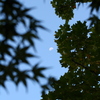 里山にて　IMG_13