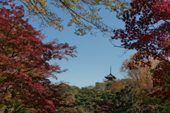 三溪園　　IMG-251203-1