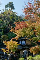 秋を楽しむ　   　IMG-251212-1