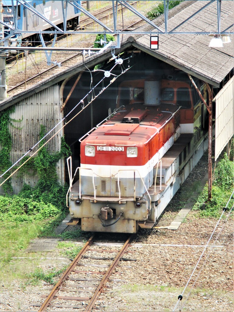 昼下がりの休憩  IMG_0617