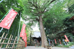 野津田薬師堂